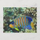 Search for juvenile postcards Outdoor