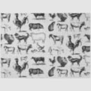 Search for cow and chicken tissue paper Rustic