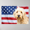 Search for goldendoodle art Adorable
