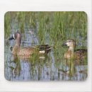 Search for danita delimont mousepads Daytime