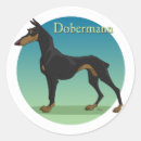 Search for dobermann stickers Puppy