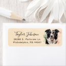 Search for collie return address labels Dog