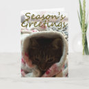 Search for funny cat christmas cards Meowy