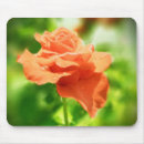 Search for romantic wedding mousepads Rose