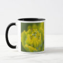 Search for paintbrush mugs Usa