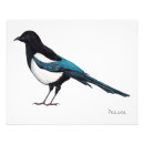 Search for corvids posters Wildlife