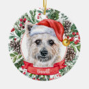 Search for terrier christmas tree decorations Watercolor