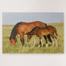 Search for wild horse puzzles Mare