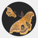 Search for moth stickers Bug