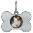 Search for vets pet supplies Animal
