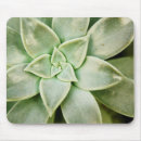 Search for plant mousepads Floral