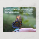 Search for butterfly quotes postcards Animal