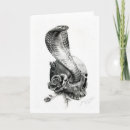 Search for cobra cards Animals