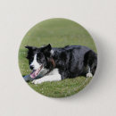 Search for lay badges Bob and pam langrish