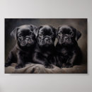 Search for wrinkled posters Black