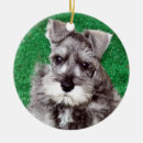Search for dog pet memorial christmas tree decorations Puppies
