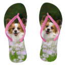 Search for breed shoes For her