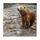 Search for stream tiles Bear