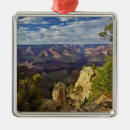 Search for rim christmas tree decorations Scenic