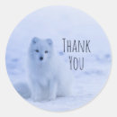 Search for fox snow stickers Thank you