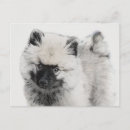 Search for puppy drawing postcards Dog