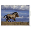 Search for yearling Horse