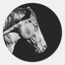 Search for horse hair stickers Animal