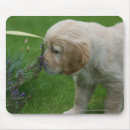 Search for coat stand mousepads Retriever golden