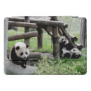 Search for panda ipad cases nature