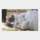 Search for asleep stickers Cat