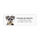 Search for miniature schnauzer return address labels Puppy