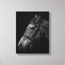 Search for farm animals canvas prints Black