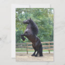 Search for black horse cards Pony