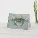 Search for marylander cards Usa