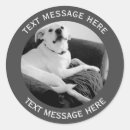 Search for photo and text stickers Funny