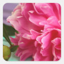 Search for peony flower stickers Modern