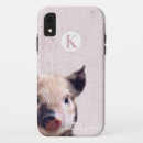 Search for piglet cases Photography