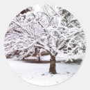 Search for winter scene stickers Branches