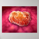 Search for biochemistry posters Molecular biology