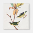 Search for catch magnets Vintage