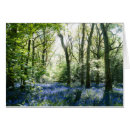 Search for bluebell cards Forest