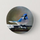 Search for blue jay badges Bird