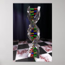 Search for dna posters Helix