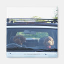 Search for auto body magnets Car