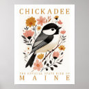 Search for chickadee art Illustration