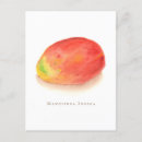 Search for red delicious postcards Green