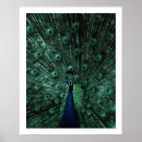 Search for blue peacock art Tropical
