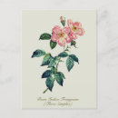 Search for happy birthday wildflowers postcards Floral