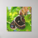 Search for moth pet supplies Insect