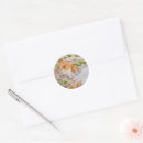 Search for chickens stickers Country
